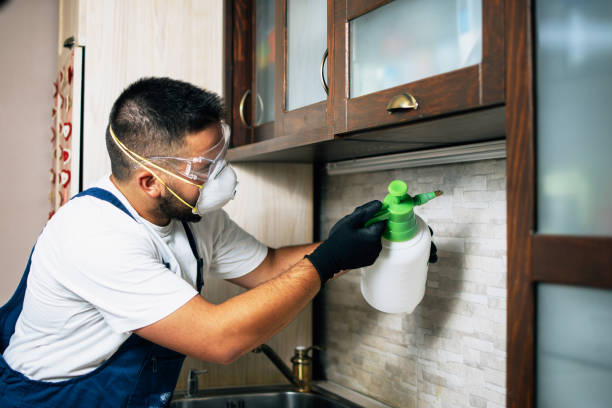 Reliable Spring City, PA Pest Control Solutions
