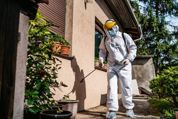 Best Flea Control Services  in Spring City, PA