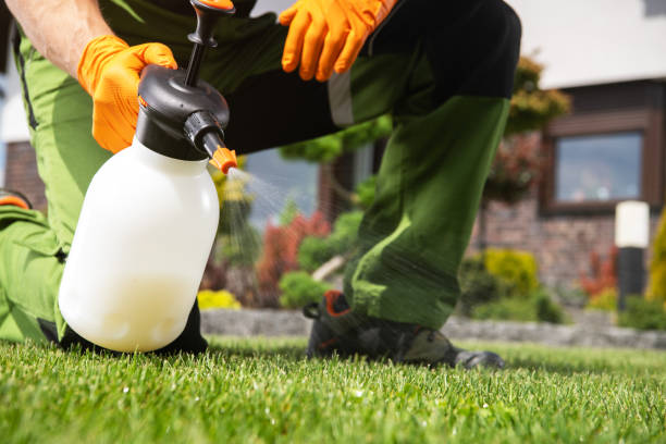Best Mosquito Control Services  in Spring City, PA