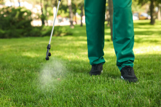 Best Insect Control  in Spring City, PA