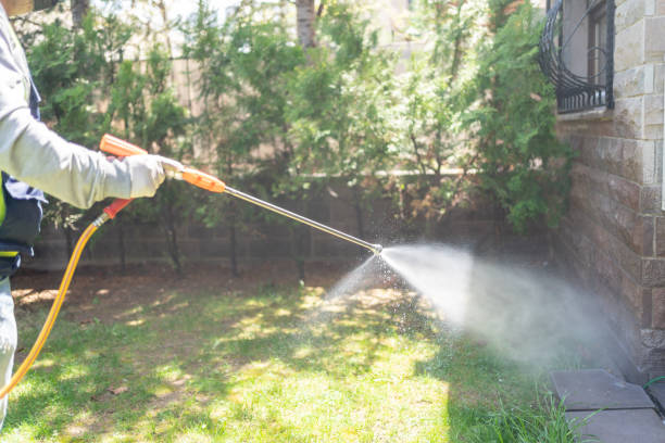 Best Pest Removal Services  in Spring City, PA
