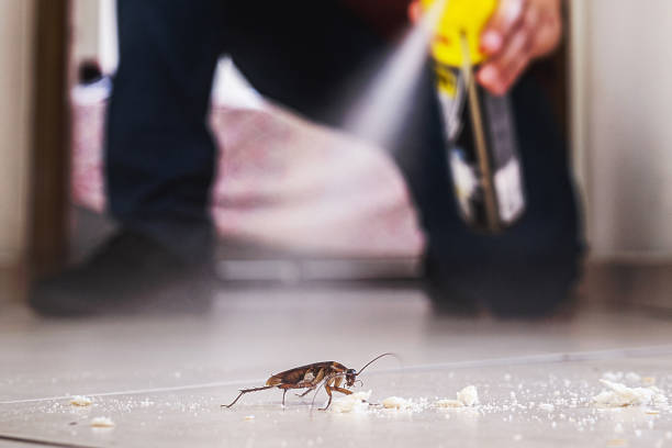 Best Exterminator Services  in Spring City, PA